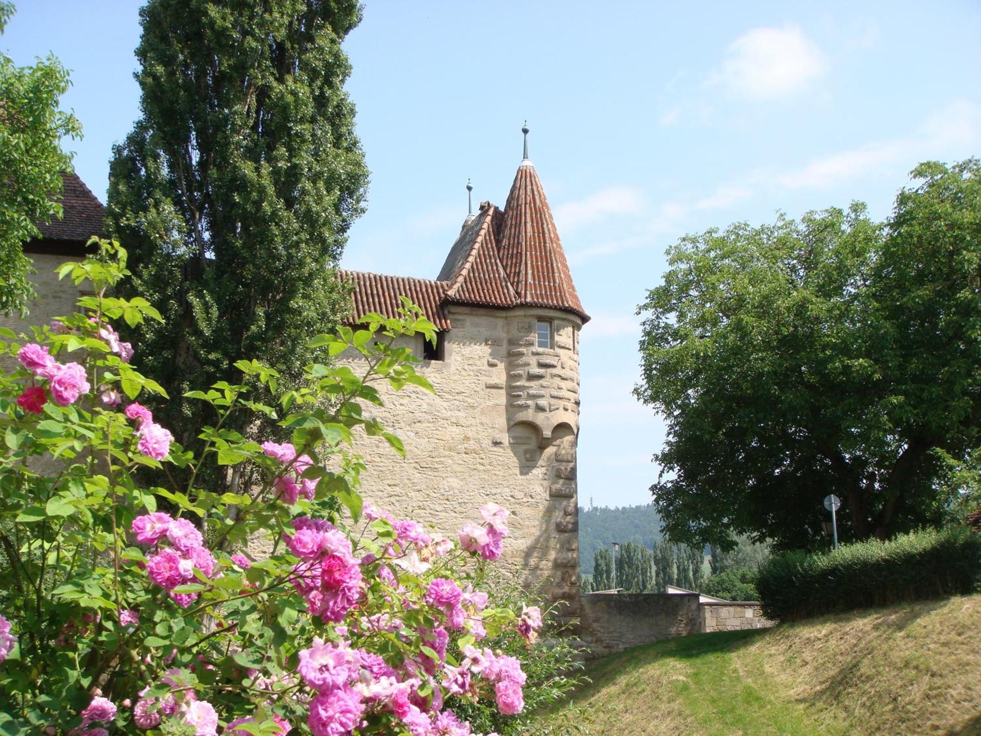Weingut Gaestehaus Weigand إبهوفين المظهر الخارجي الصورة