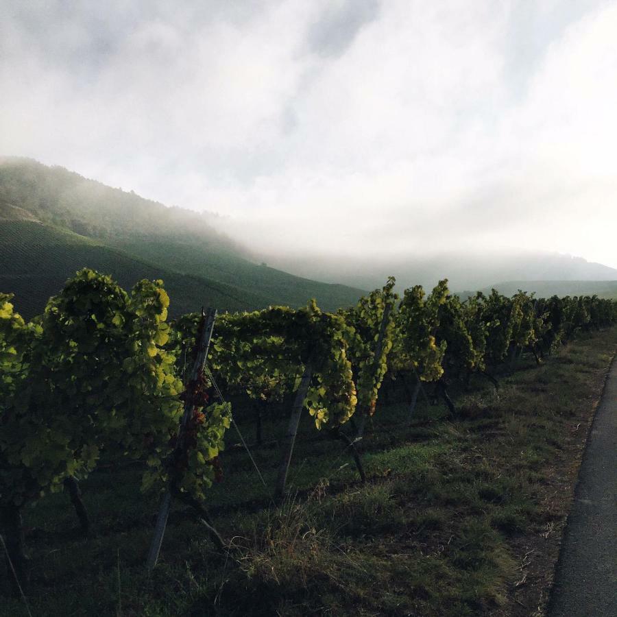 Weingut Gaestehaus Weigand إبهوفين المظهر الخارجي الصورة