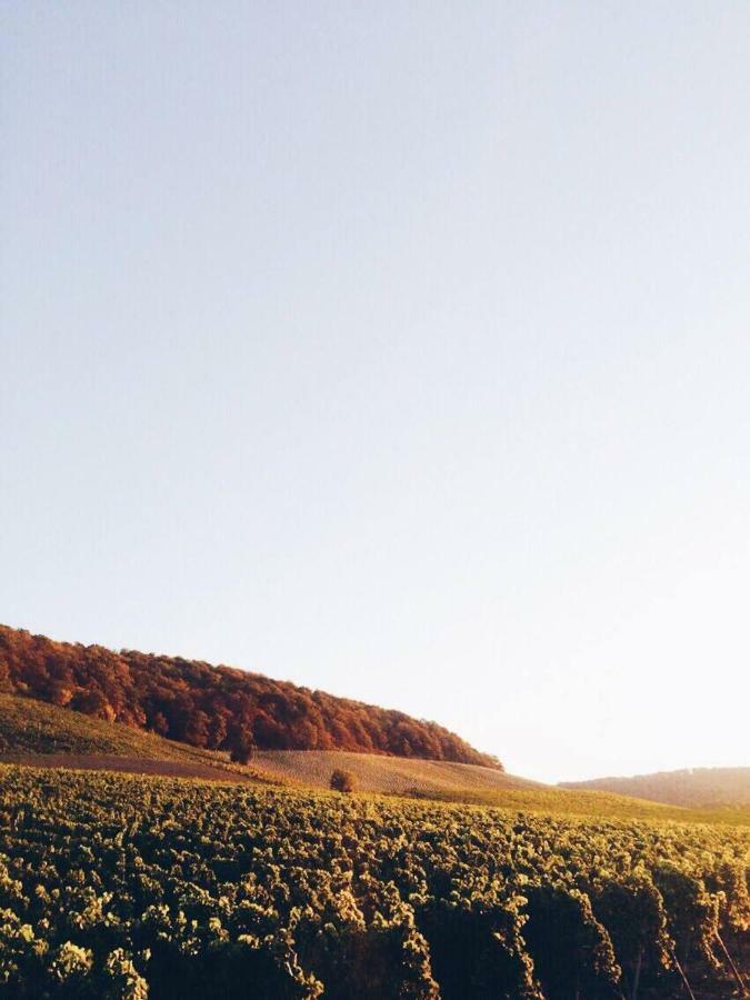 Weingut Gaestehaus Weigand إبهوفين المظهر الخارجي الصورة